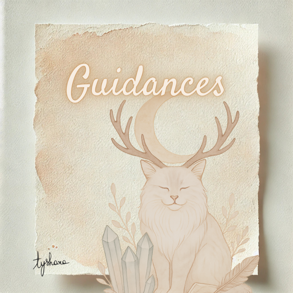 Guidances