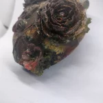 Rosamara